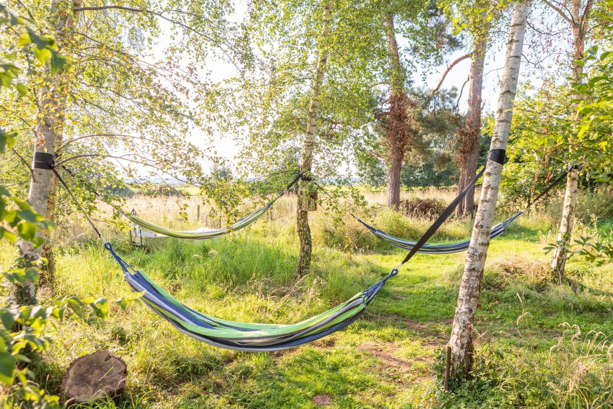 Stargazer Glamping Uk The Mahal 8 People Hotel Ross-on-Wye Kültér fotó