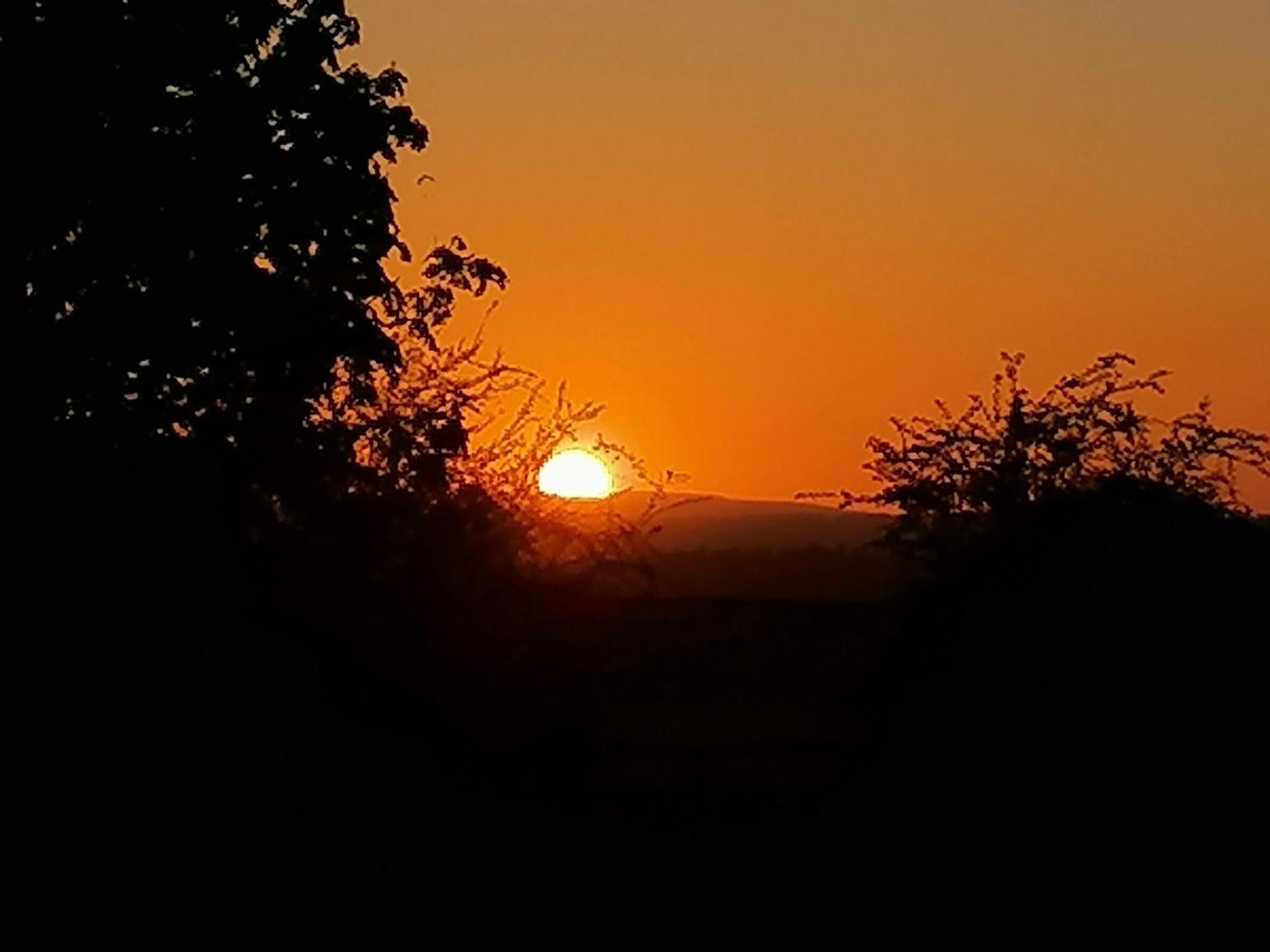 Stargazer Glamping Uk The Mahal 8 People Hotel Ross-on-Wye Kültér fotó